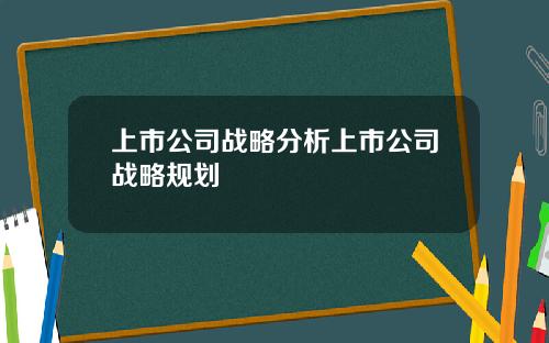 上市公司战略分析上市公司战略规划