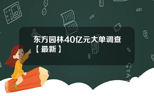 东方园林40亿元大单调查【最新】