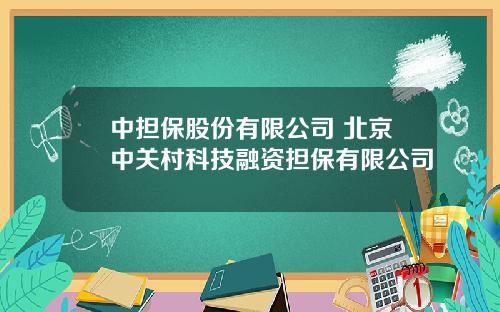 中担保股份有限公司 北京中关村科技融资担保有限公司