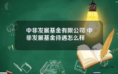 中非发展基金有限公司 中非发展基金待遇怎么样