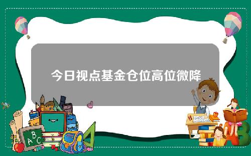 今日视点基金仓位高位微降