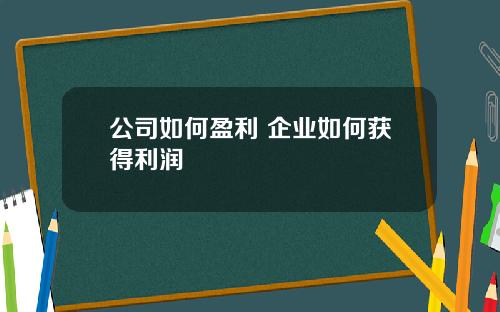 公司如何盈利 企业如何获得利润