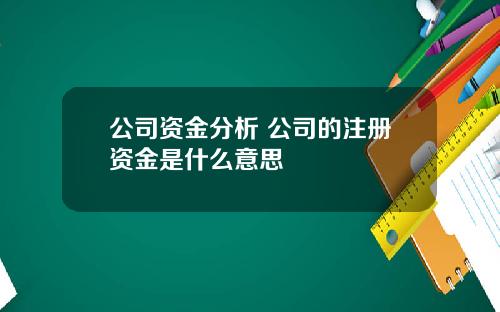 公司资金分析 公司的注册资金是什么意思