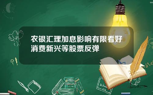 农银汇理加息影响有限看好消费新兴等股票反弹