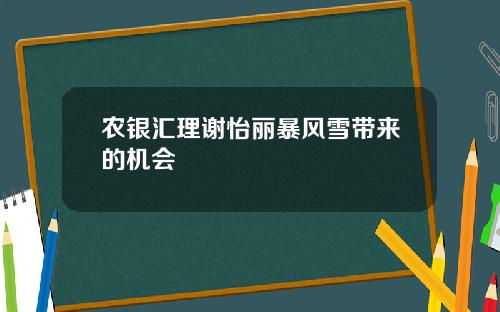 农银汇理谢怡丽暴风雪带来的机会