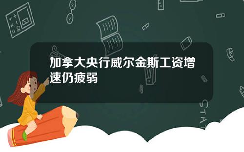 加拿大央行威尔金斯工资增速仍疲弱