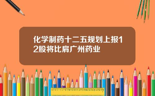 化学制药十二五规划上报12股将比肩广州药业