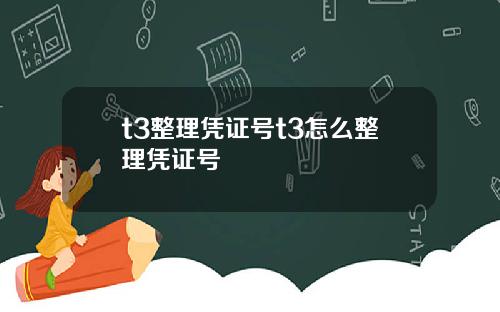 t3整理凭证号t3怎么整理凭证号