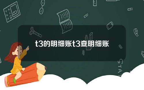 t3的明细账t3查明细账