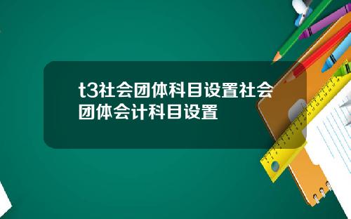 t3社会团体科目设置社会团体会计科目设置