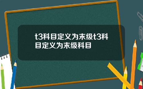 t3科目定义为末级t3科目定义为末级科目