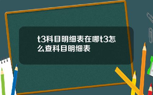 t3科目明细表在哪t3怎么查科目明细表