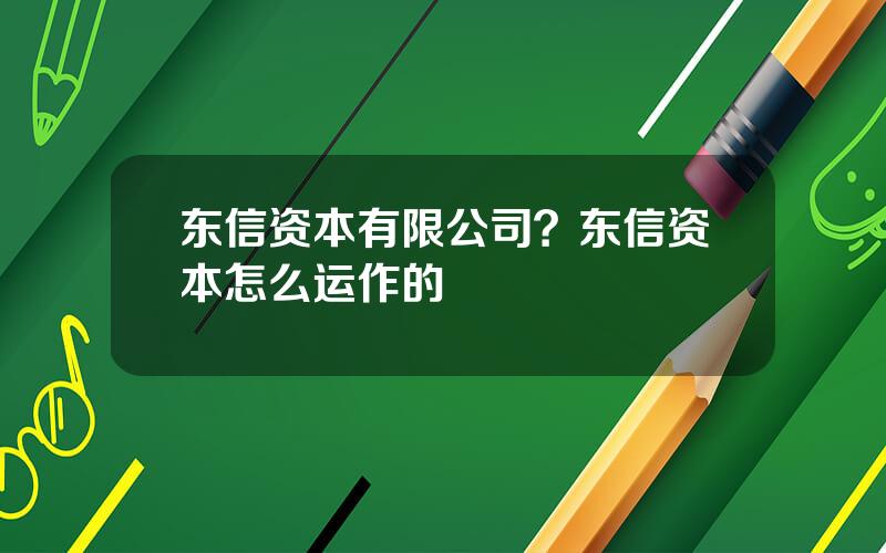 东信资本有限公司？东信资本怎么运作的