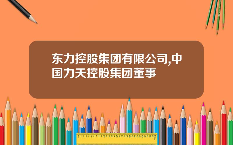 东力控股集团有限公司,中国力天控股集团董事