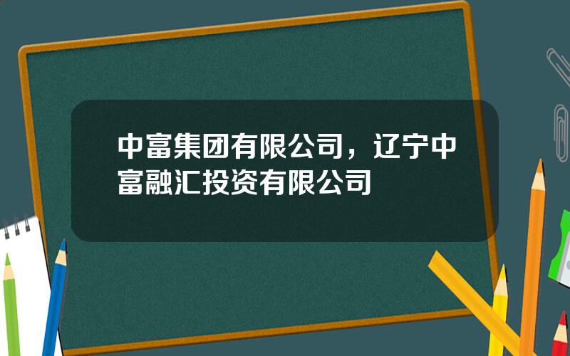 中富集团有限公司，辽宁中富融汇投资有限公司