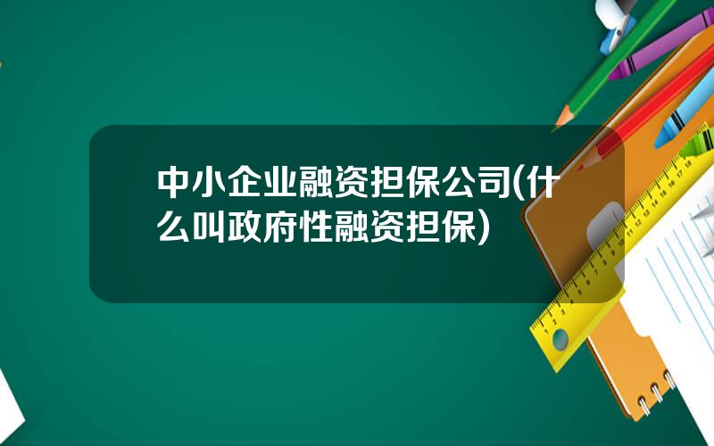 中小企业融资担保公司(什么叫政府性融资担保)