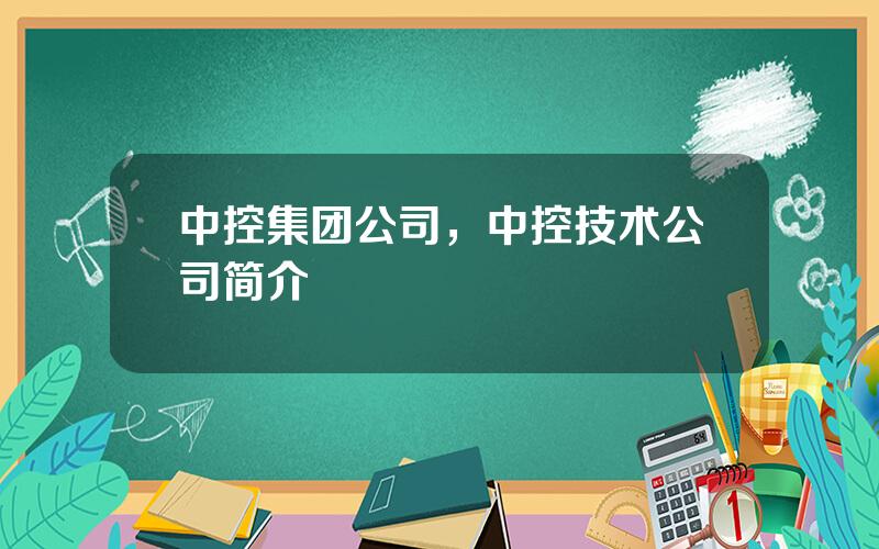 中控集团公司，中控技术公司简介