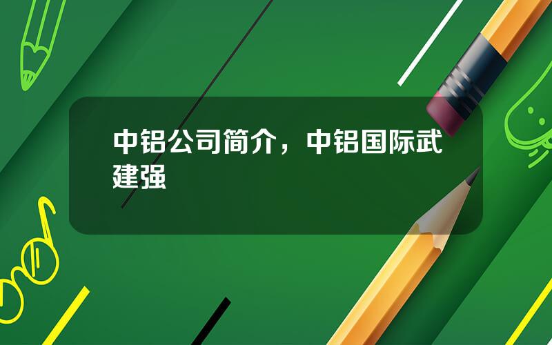 中铝公司简介，中铝国际武建强