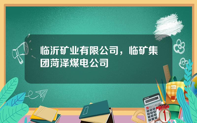 临沂矿业有限公司，临矿集团菏泽煤电公司