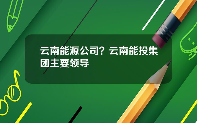 云南能源公司？云南能投集团主要领导