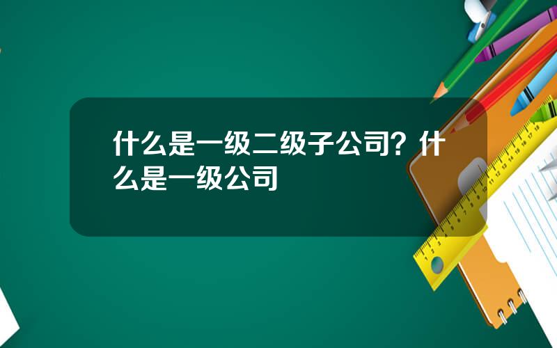 什么是一级二级子公司？什么是一级公司