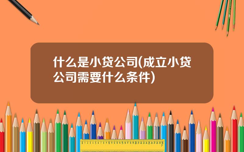 什么是小贷公司(成立小贷公司需要什么条件)