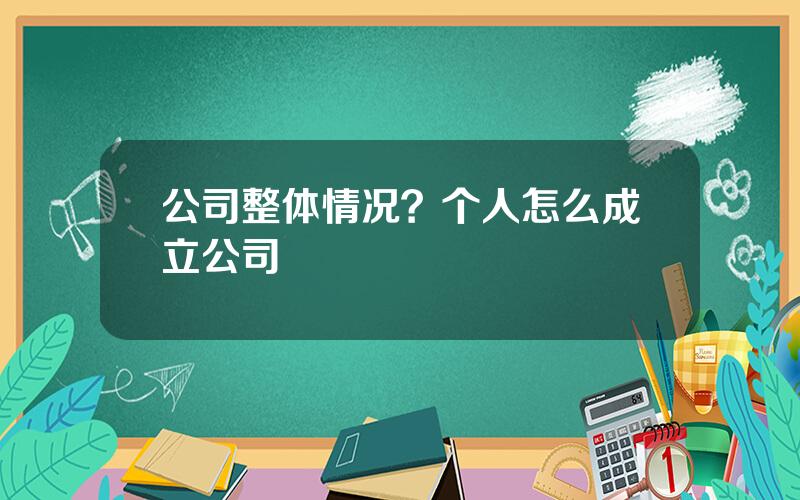 公司整体情况？个人怎么成立公司