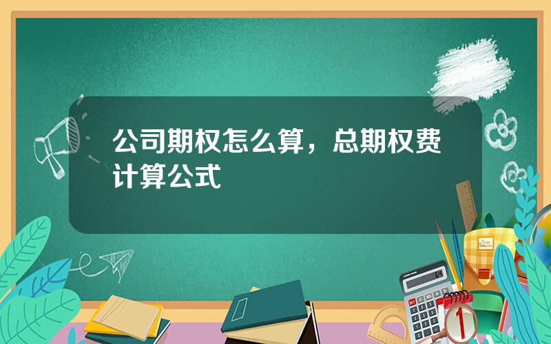 公司期权怎么算，总期权费计算公式