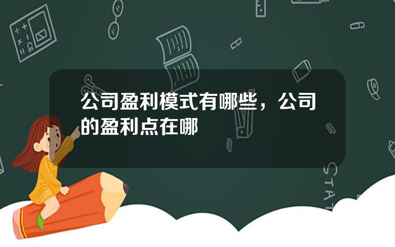 公司盈利模式有哪些，公司的盈利点在哪