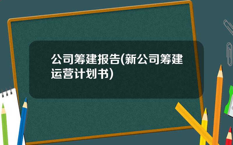 公司筹建报告(新公司筹建运营计划书)