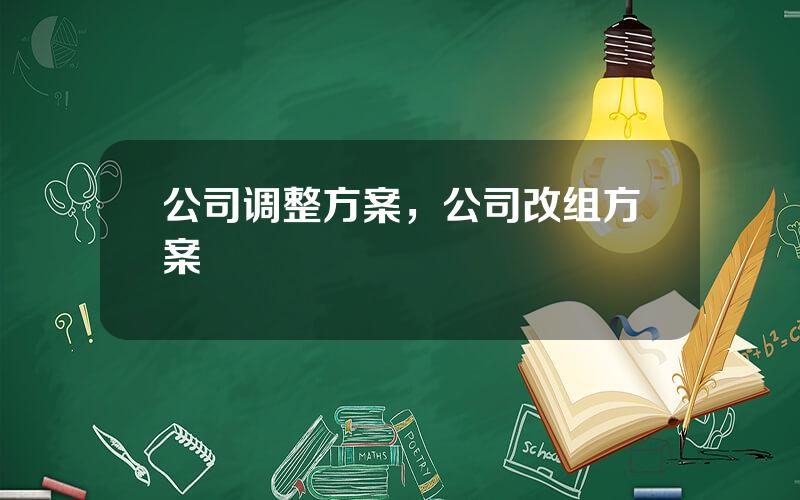 公司调整方案，公司改组方案