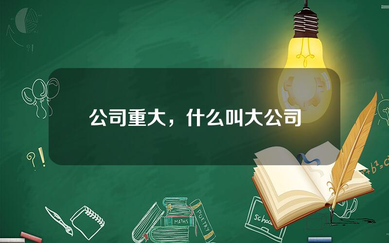 公司重大，什么叫大公司