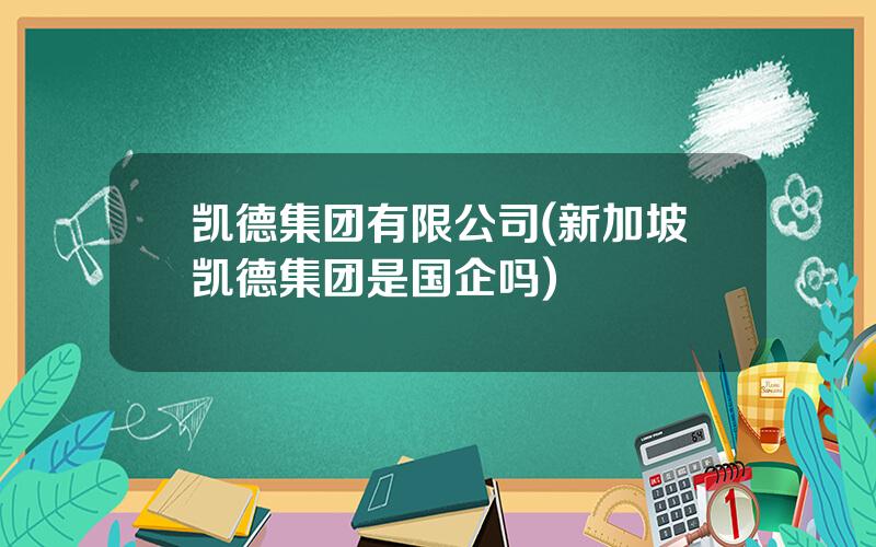 凯德集团有限公司(新加坡凯德集团是国企吗)