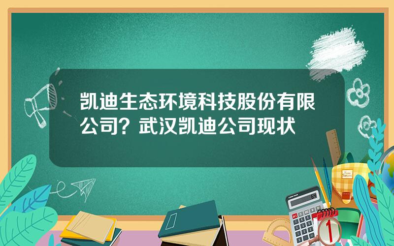 凯迪生态环境科技股份有限公司？武汉凯迪公司现状