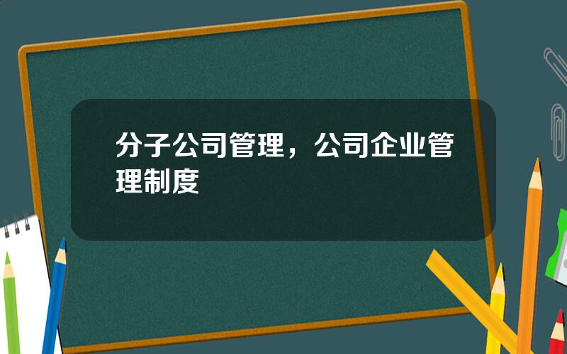 分子公司管理，公司企业管理制度