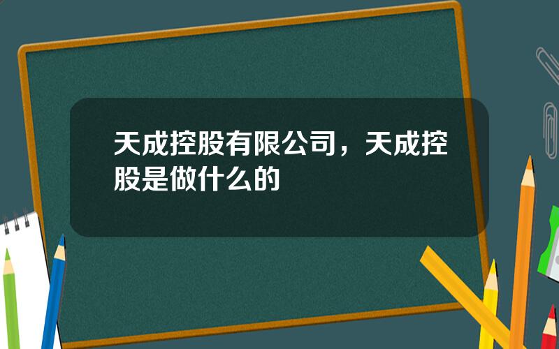 天成控股有限公司，天成控股是做什么的