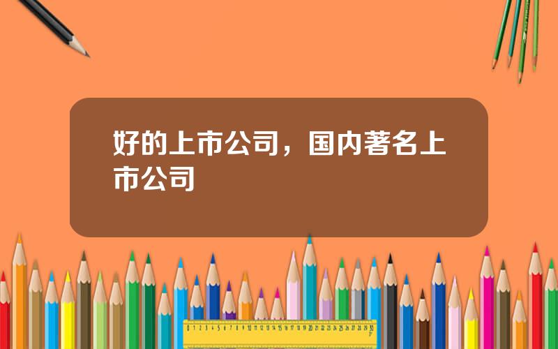 好的上市公司，国内著名上市公司