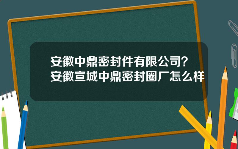 安徽中鼎密封件有限公司？安徽宣城中鼎密封圈厂怎么样