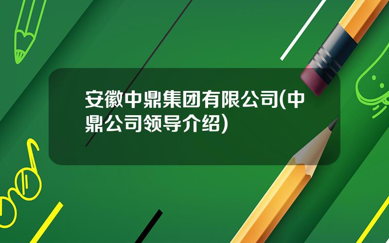 安徽中鼎集团有限公司(中鼎公司领导介绍)