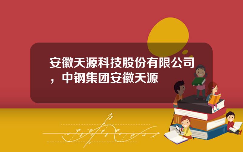 安徽天源科技股份有限公司，中钢集团安徽天源