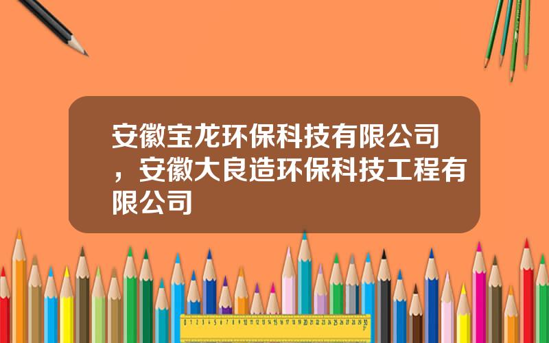 安徽宝龙环保科技有限公司，安徽大良造环保科技工程有限公司