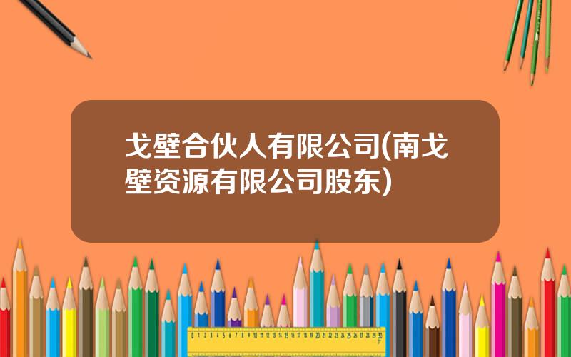 戈壁合伙人有限公司(南戈壁资源有限公司股东)