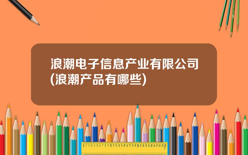 浪潮电子信息产业有限公司(浪潮产品有哪些)