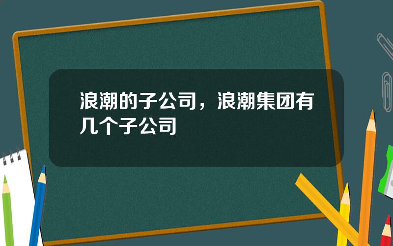 浪潮的子公司，浪潮集团有几个子公司