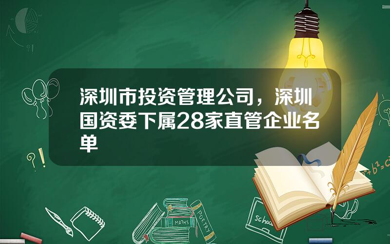 深圳市投资管理公司，深圳国资委下属28家直管企业名单