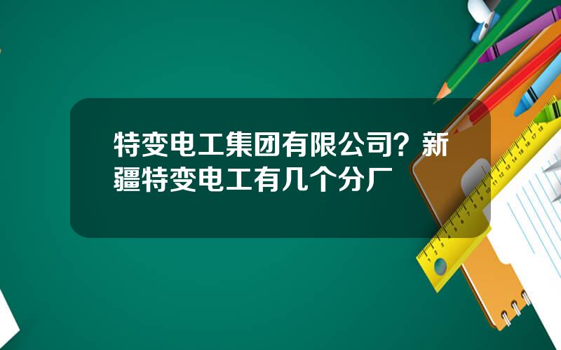 特变电工集团有限公司？新疆特变电工有几个分厂