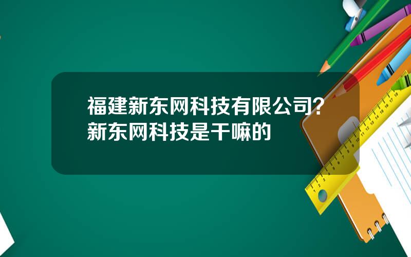 福建新东网科技有限公司？新东网科技是干嘛的